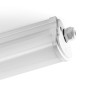 Tube Lights